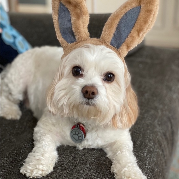 Meet your Posher, Beth - Picture 4 of 4